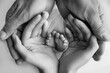 Small feet of a newborn in the hands of parents. Loving palms of the hands of mother and father. Conceptual image of fatherhood. Close-up, selective focus. Black and white professional photography.