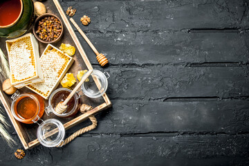 Wall Mural - Different kinds of honey on wooden tray.