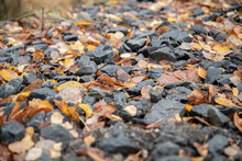 Closeup Of Rocks Mixed With Autumn Leaves On Ground
