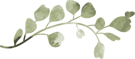 Fototapete - Watercolor botanical leaf branch