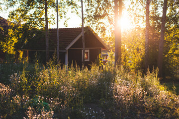 View of classical finnish landscape with traditional wooden red cabin cottage houses and camping site, Uusimaa, Southern Finland in a summer sunny day