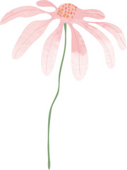 Fototapete - Watercolor botanical spring flower 