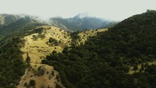 Drone Reveal Of Thick Fog Rolling Over Mountainous Hills And Valley In New Zealand Countryside Landscape Covered In Green Trees And Vegetation