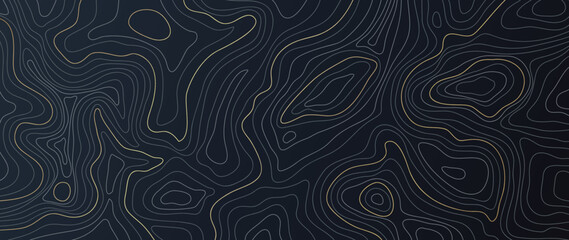 Wall Mural - luxury gold abstract line art background vector. mountain topographic terrain map background with go