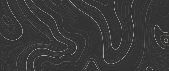 Wall Mural - abstract line art background vector. mountain topographic terrain map background with abstract shape