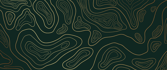 Wall Mural - luxury gold abstract line art background vector. mountain topographic terrain map background with go