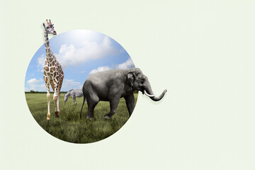 world wildlife day