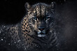Dual Exposure tiger wild tier beängstigend hintergrund dunkel löwe tier katze könige 