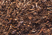 Background Natural From Wood Recycled Mulch