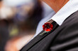 © Austockphoto - Poppy pin on shirt collar on remembrance day