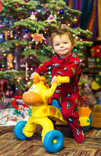 Toddler Enjoying His New Giraffe Tricycle On Christmas Morning