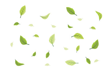 Wall Mural - vector illustration of falling leaves. vector falling flying autumn leaves