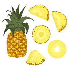 Vector Illustration Of A Set Of Ripe Fresh Pineapple, Pieces And Slices. Fruit Illustration In Flat Style Isolated On White Background.
