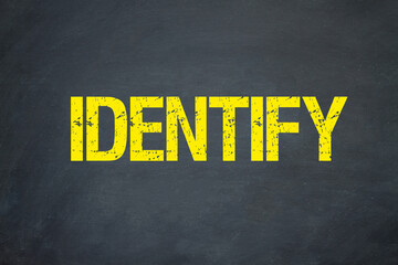 Poster - identify