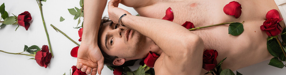 Sticker - top view of brunette shirtless man lying near red fresh roses while looking at camera on white background, banner.