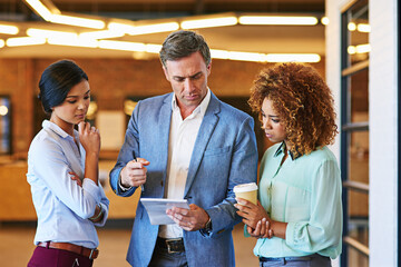 Wall Mural - Business team, planning and discussion of notes on paper for collaboration, teamwork and diversity. Women and manager man talking, reading and brainstorming corporate ideas, strategy or analysis