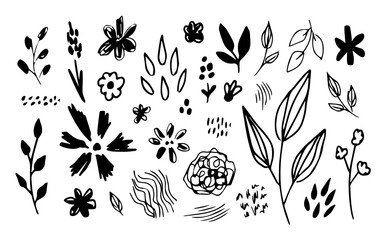 Wall Mural - Simple vector drawing in doodle style. Set of floral elements, leaves and branches, various flowers. Black silhouette, thin lines, dots. Sketch in ink.