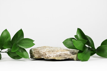 Wall Mural - creative layout of colorful riskus leaves on a white background in the rays of the sun, with shadows