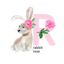 Letter R, Rabbit And Rose, Cute Kids Animal And Flower ABC Alphabet. Watercolor Illustration Isolated On White Background. Can Be Used For Alphabet Or Cards For Kids Learning English Vocabulary And