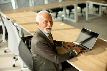 Wall Mural - Senior businessman working on laptop computer in office