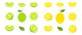 Lime and lemon slices set. Citrus fruits collection. Vector illustration isolated on white.	