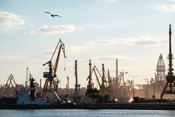  Container terminal, with cranes, in a commercial port