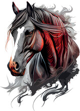 Horse Head Illustration