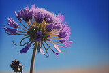 Fototapeta Kwiaty - large purple flower in the sun, generative ai