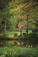  Beautiful colorful summer spring natural landscape with a lake in Park surrounded by green foliage of trees in Hetzerath,Germany.
