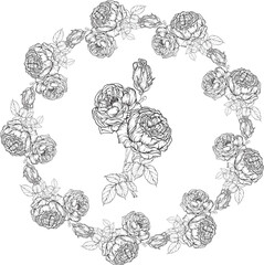Wall Mural - Hand-drawn floral set, Rose Collection, Flower Wreath.