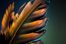  A Close Up Of A Colorful Feather On A Blue Background With A Green Background And A Black Background With A Yellow And Blue Feather On The Bottom Of The Feathers Of A Blue Background Is.