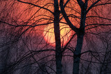 Fototapeta Niebo - Zachód słońca