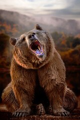 Wall Mural - big pissed off grizzly bear