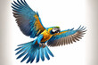 Blue and gold macaw flying isolated on white background. Generative AI