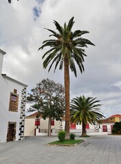 Palmen und Haus in San Andrès auf La Palma