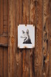 Metalowa tabliczka z rysunkiem psa na drewnianej bramie