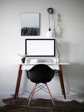 Minimal Black And White Office Desk With Plants And Skulls Decor