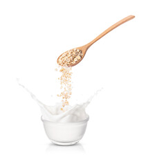 Wall Mural - Pouring oat flakes from wooden spoon to milk splash in glass bowl isolated on white background.