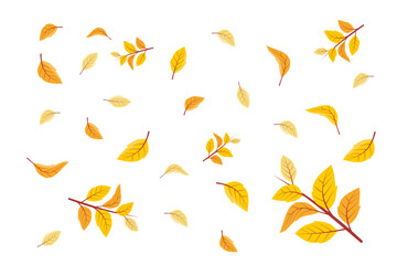 Wall Mural - vector illustration of falling leaves. vector falling flying autumn leaves