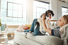Woman, Sofa And Lift Dog In Home Living Room For Love, Relax And Pet Friendship For Smile, Happy And Quality Time. Girl, Couch And Holding Puppy In Air For Happiness, Bonding And Together In Lounge