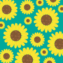 Sunflowers Illustration
