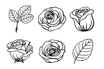 Wall Mural - Set of rose illustration for tattoo and vintage design element