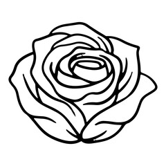 Wall Mural - rose illustration for vintage ornament