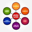 © dizain - Environmental risk factors mind map text concept for presentations and reports
