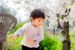 桜と踊る2歳児