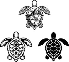 Turtle Illustration