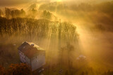 Fototapeta  - Mgła i promienie słońca przebijające się przez drzewa - widok z drona
