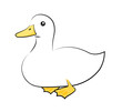 Biała kaczka ilustracja