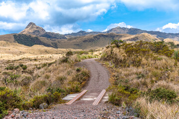 Wall Mural - Cayambe Coca Ecological Reserve in Ecuador