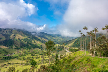 Wall Mural - Cocora palm valley in Colombia in South America